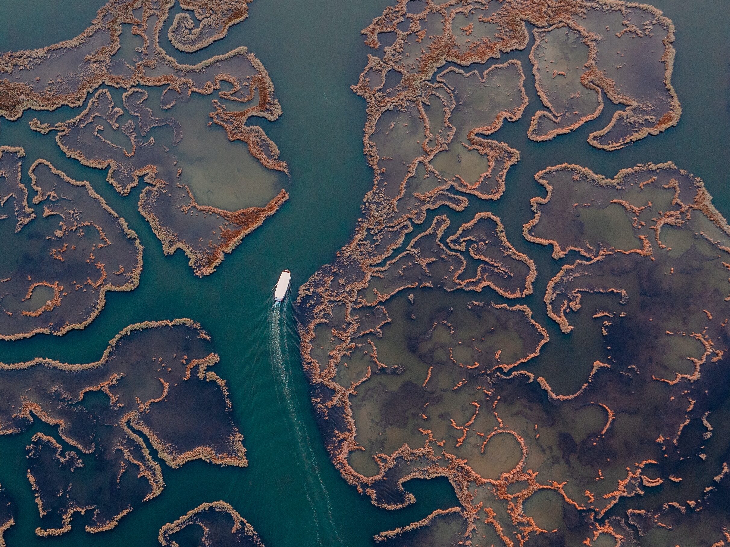 Viewed from overhead, a boat navigates waterways in a delta