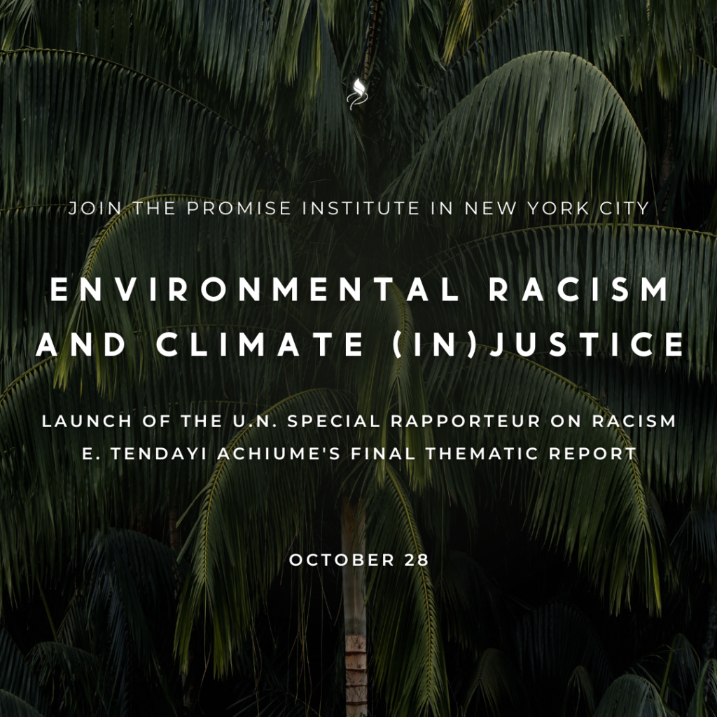 A palm tree's fronds with overlaid text: Promise Insignia, Join the Promise Institute in New York City for Environmental Racism and Climate (In)Justice, Launch of the UNSR on Racism E. Tendayi Achiume's Final Thematic Report, October 28