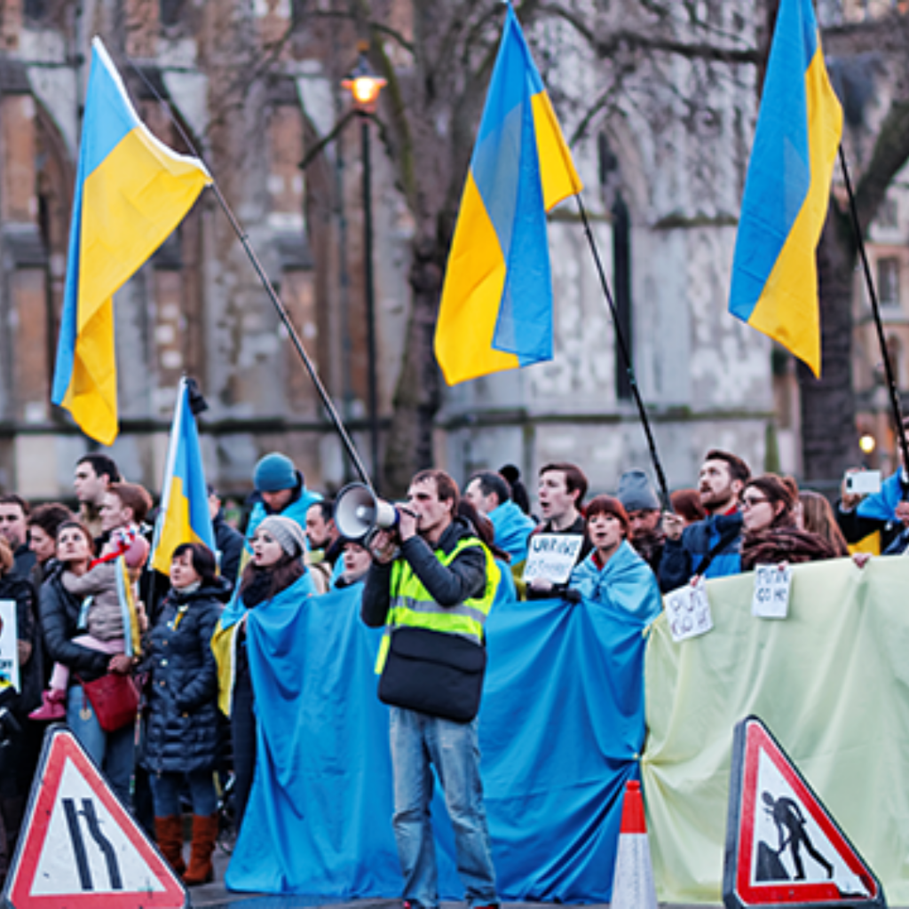 Pro Ukrainian Protestors